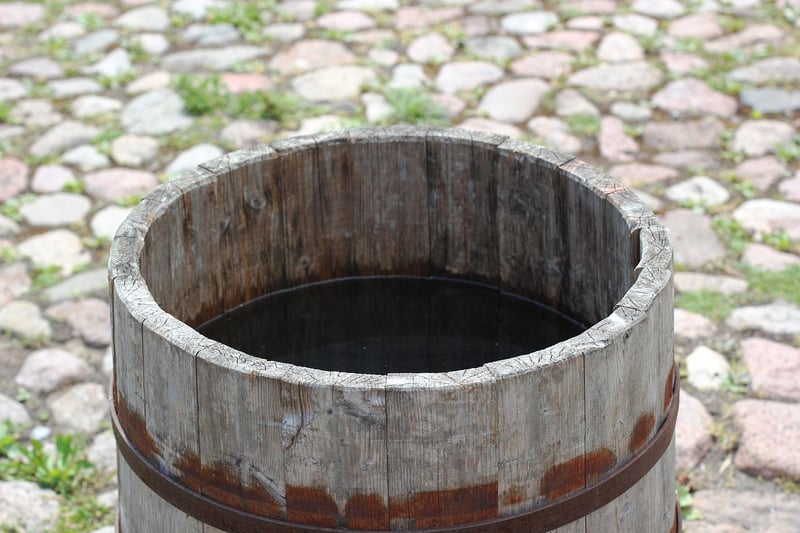 Rain Barrel Irrigation