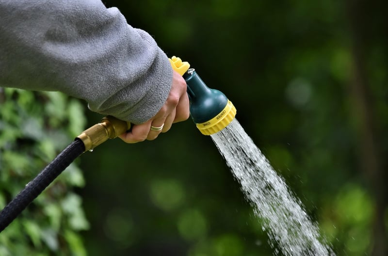 Drip Irrigation System
